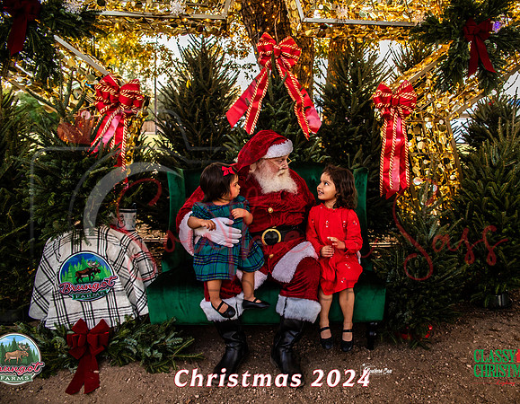 IMG_0012-5 copy