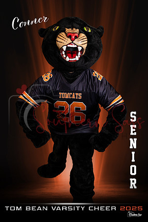 MASCOT copy
