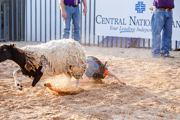 SSP_8041