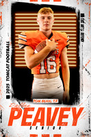 DallasPeavey copy