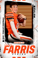 DysonFarris copy