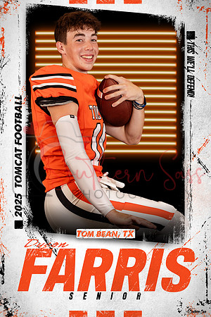 DysonFarris copy