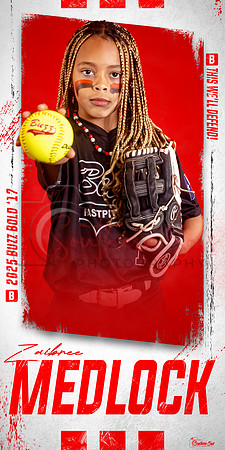 MedlockOption3 copy