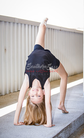 SSP_8197