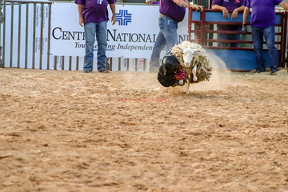 IMG_8708