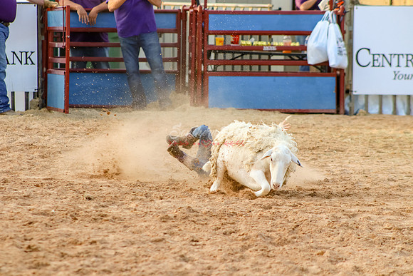 IMG_8809