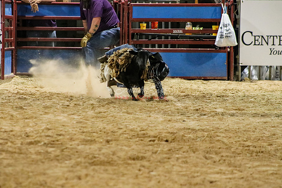 IMG_9704