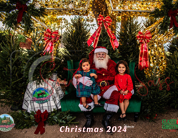 IMG_0010-5 copy