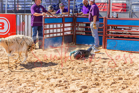 SSP19655