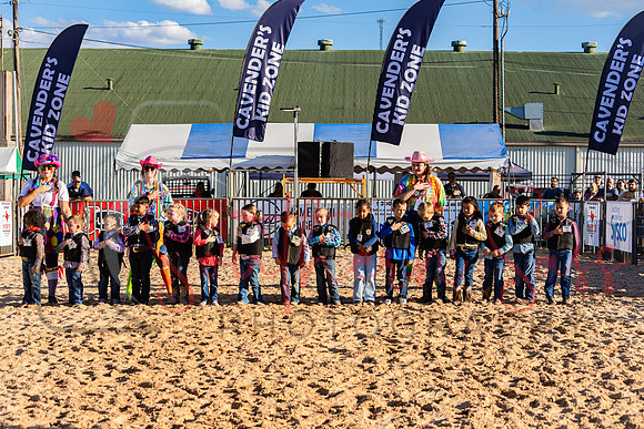 SSP10729