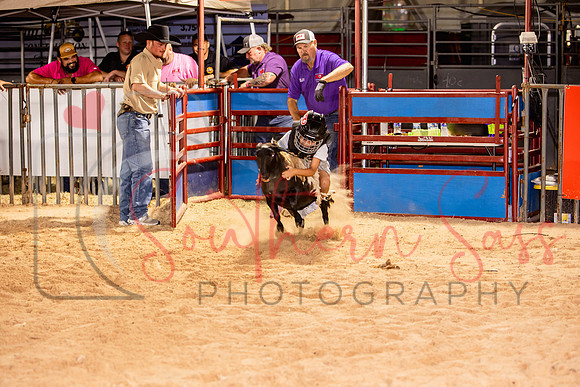 SSP12676