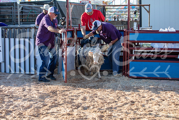 SSP_0995
