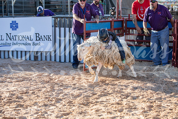 SSP_0996
