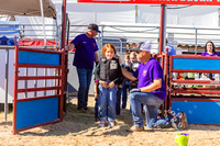SSP13199