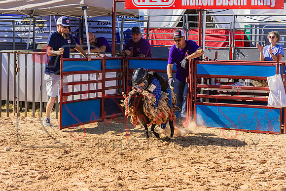SSP13340