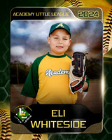 EliWhiteside copy