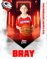 ElliBray copy