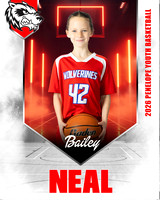 BaileyNeal copy