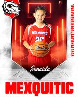 SenaidaMexquitic copy