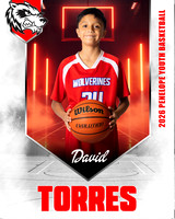 DavidTorres copy