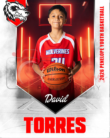 DavidTorres copy