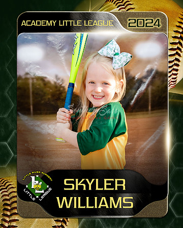 SkylerWilliams copy