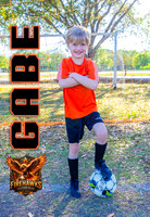 Gabe2 copy
