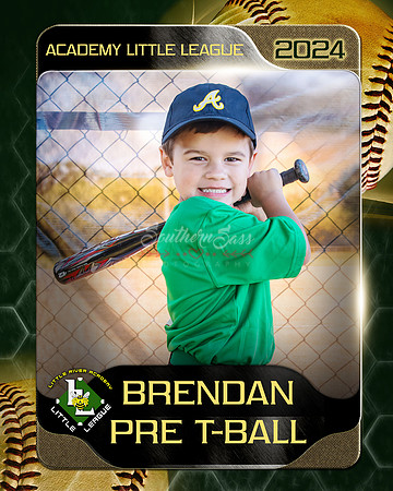 Brendan copy
