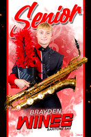 BraydenWines copy