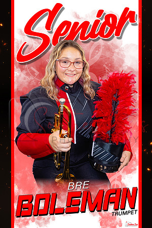 BreBoleman copy