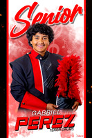 GabrielPerez copy
