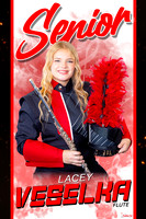 LaceyVeselka copy