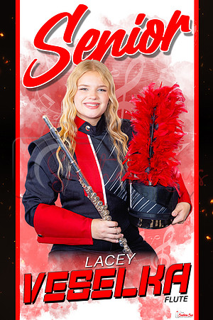 LaceyVeselka copy