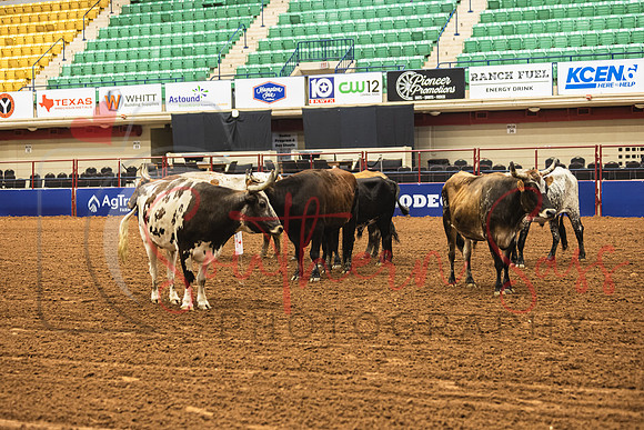 SSP12957