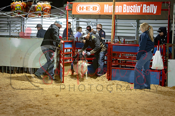 SSP16638