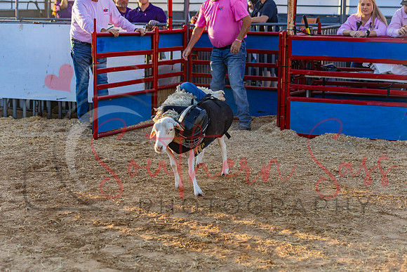 SSP15851