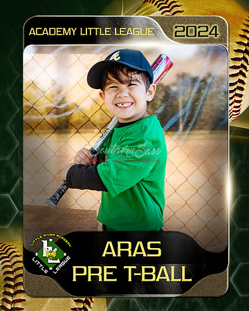 Aras copy