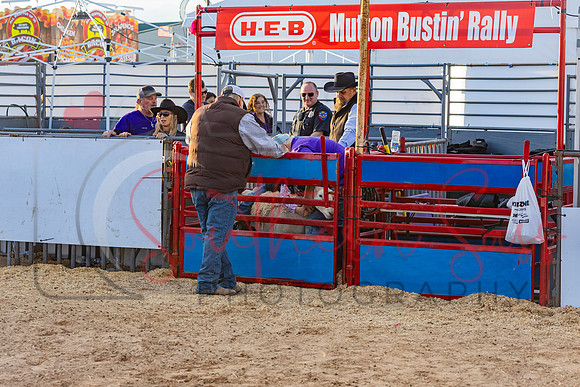 SSP16446