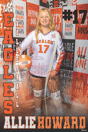 AllieHoward copy