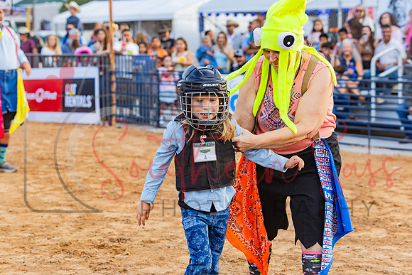 SSP15315