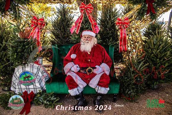 IMG_0003-8 copy