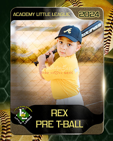 Rex2 copy