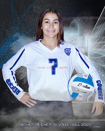 #7 copy