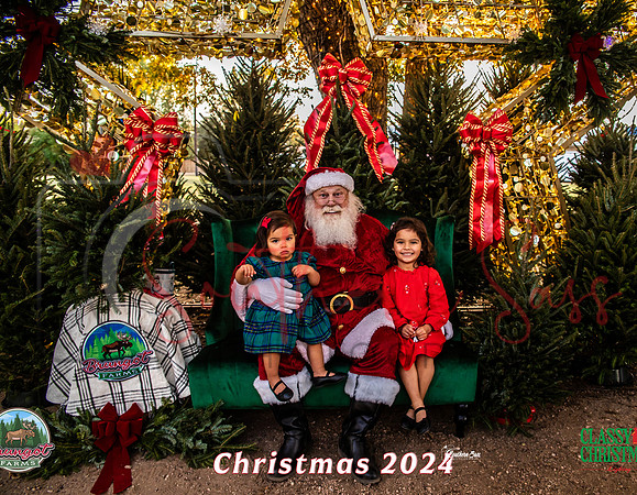 IMG_0004-9 copy