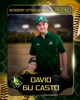 David2 copy