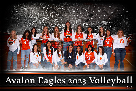 TeamBanner copy