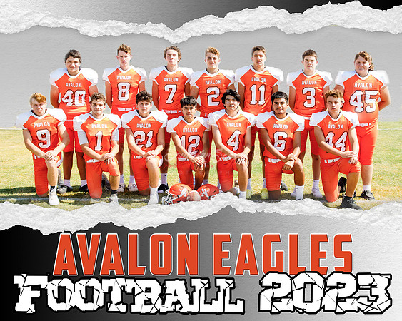 TeamBanner copy