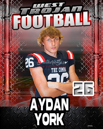 AydanYork copy