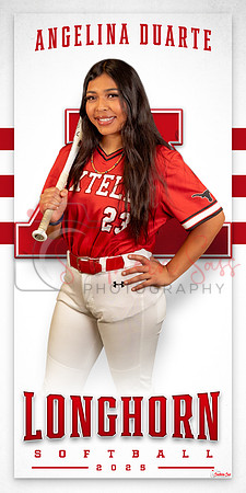 AngelinaDuarte copy