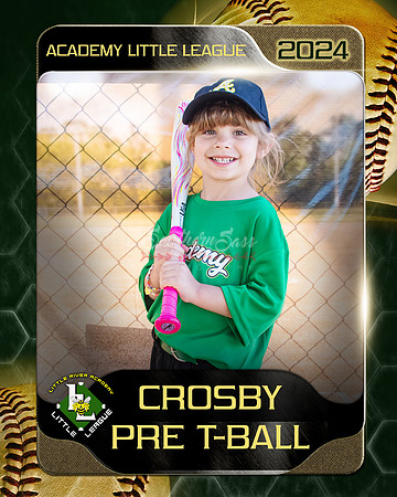 Crosby copy